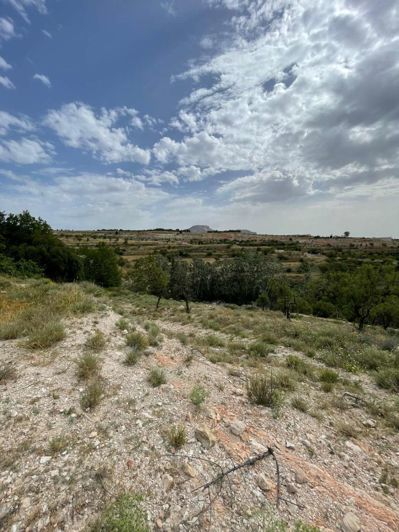 Image No.12-Propriété à vendre à Velez Blanco