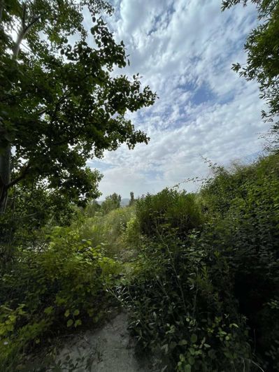 Image No.13-Propriété à vendre à Velez Blanco