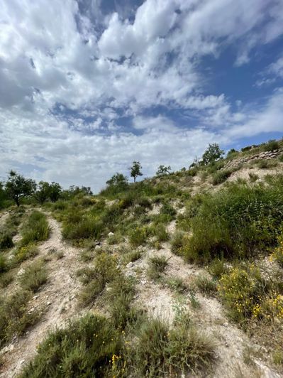 Image No.5-Propriété à vendre à Velez Blanco