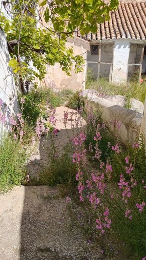 Image No.2-Propriété de 6 chambres à vendre à Velez Blanco