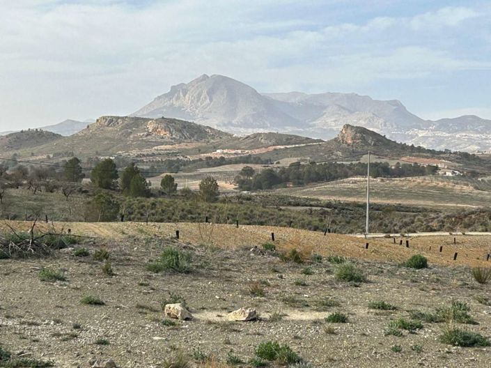 Image No.24-Finca de 3 chambres à vendre à Velez-Rubio