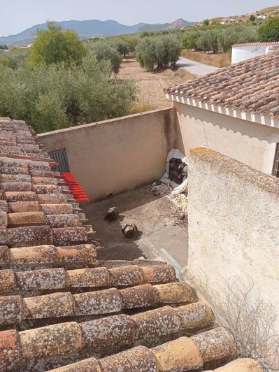 Image No.25-7 Bed Property for sale