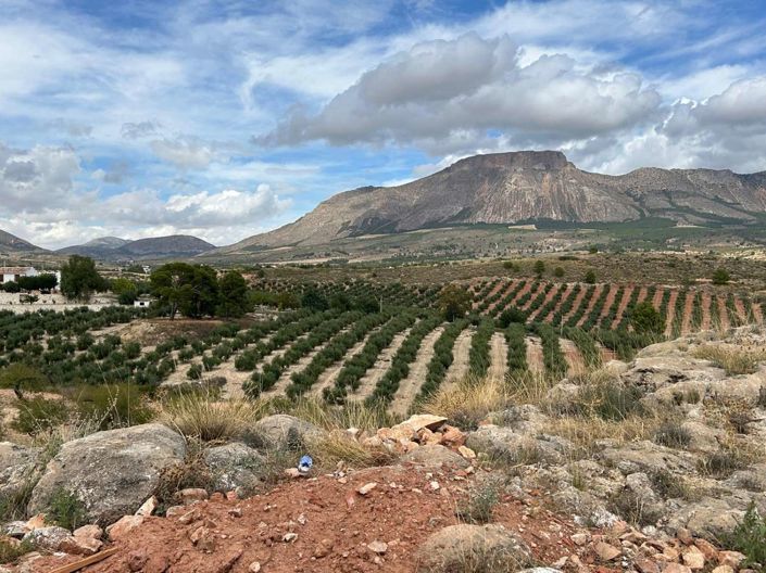 Image No.32-Propriété de 4 chambres à vendre à Velez Blanco