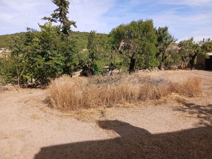 Image No.28-Propriété de 7 chambres à vendre à María