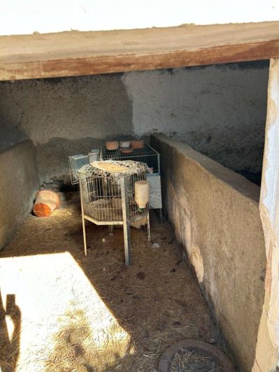 Image No.30-Propriété de 5 chambres à vendre à Chirivel