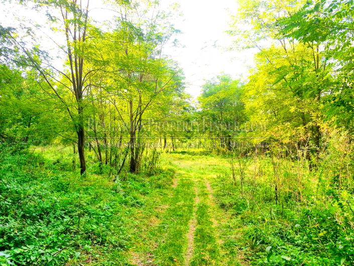 Image No.4-Terre à vendre à Ruse