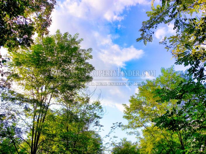 Image No.5-Terre à vendre à Ruse