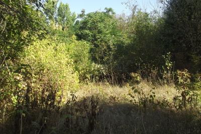 schouse_d555940_78_b