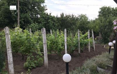 1j172907749748844_67