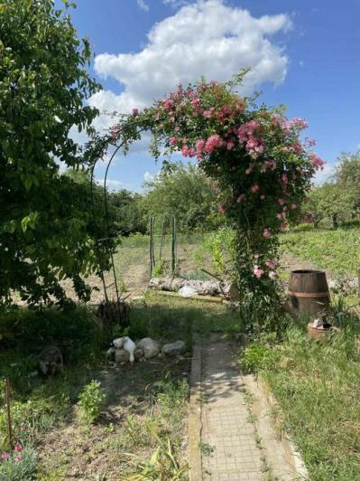 Image No.6-Maison de campagne de 3 chambres à vendre à Dobrich