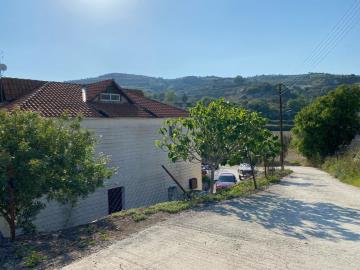 WhatsApp-Image-2024-05-31-at-6-37-36-PM--1-