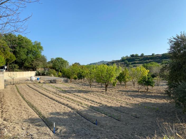 Image No.4-Maison de 3 chambres à vendre à Stroumpi