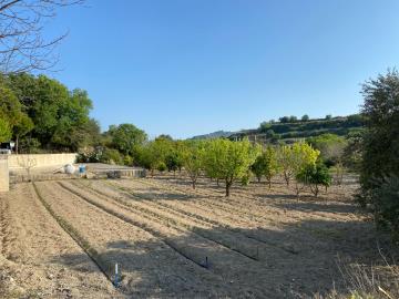 WhatsApp-Image-2024-05-31-at-6-37-36-PM