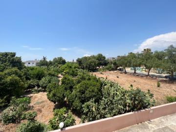 WhatsApp-Image-2024-07-11-at-12-01-53-AM--1-