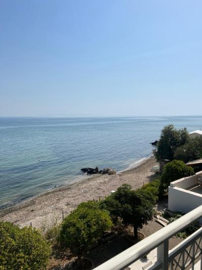 Image No.8-Villa / Détaché de 8 chambres à vendre à Zante