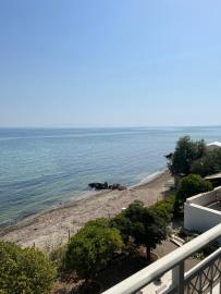 5d29892b-72ee-4ff2-a55e-5681d523c14f