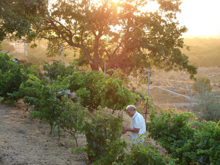Image No.20-Villa à vendre à Rethymnon