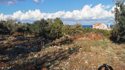 GERANI-PLOT1612--2--xnv