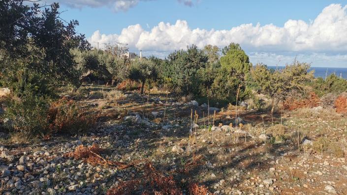 Image No.3-Land for sale