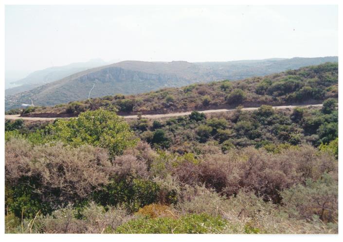 Image No.2-Land for sale