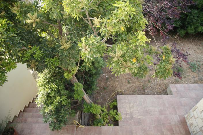 Image No.26-Maison / Villa de 4 chambres à vendre à Vasilies