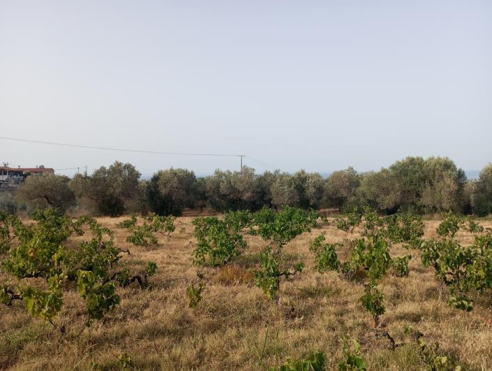 Image No.2-floorplan-2