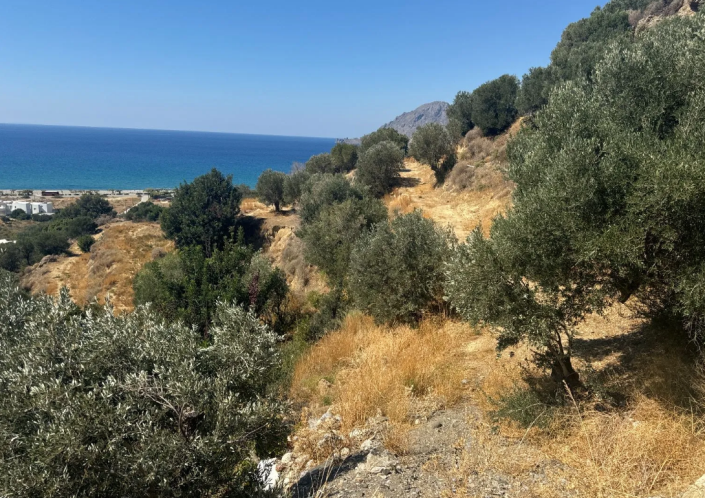 Image No.4-Terrain à vendre à Plakias