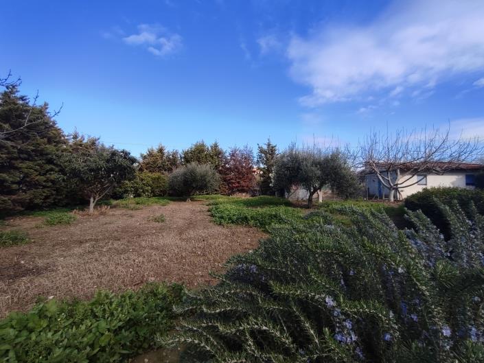 Image No.25-Maison / Villa de 4 chambres à vendre à Archanes