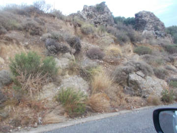 ------_------------_-4400-------------_--------_-17736723-_-Spitogatos-4