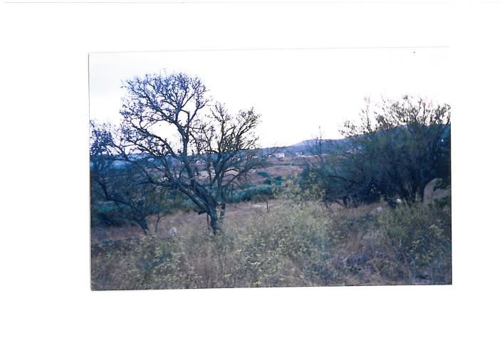 Image No.10-Plot for sale