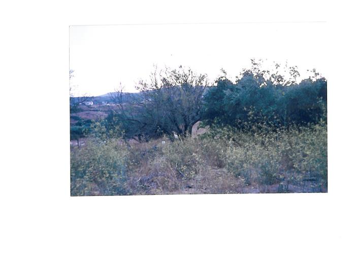 Image No.12-Plot for sale