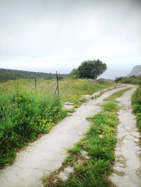 f336a024-a87d-4bc2-81cb-a20a101f99b4