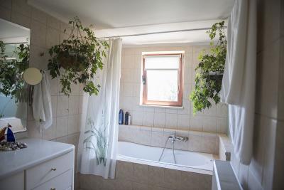 IMG-5ba4497d286d530539d82f48a7a3871e-V