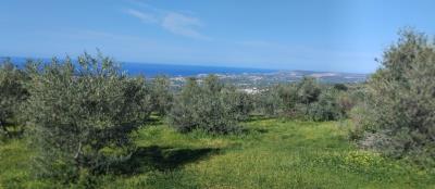 cde676ba-a447-45b3-bd8c-db55c8d1c2a5