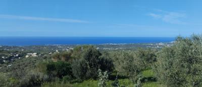 f28a371d-3deb-4dfb-959b-03aaa35ff5ce