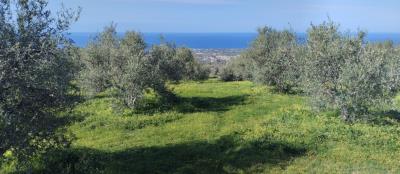 f33cfcce-aa5e-4d5d-bb45-24bce9e57a2d