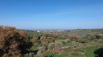 add461f7-8e22-4825-a7b9-68e6b5606b6d