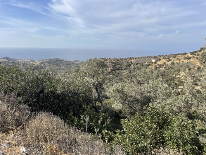 Image No.2-Terrain à vendre à Triopetra