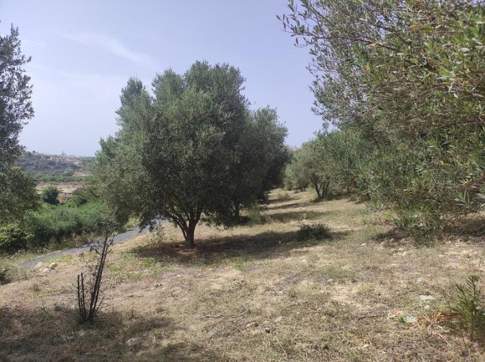 Image No.16-Plot for sale