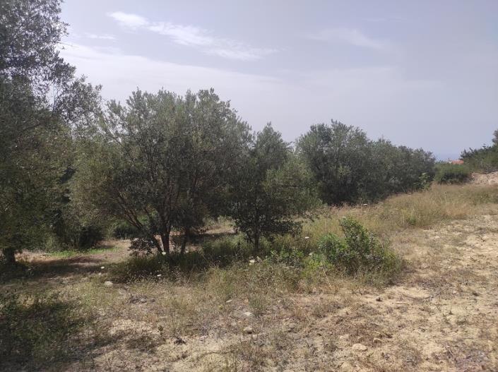 Image No.18-Plot for sale