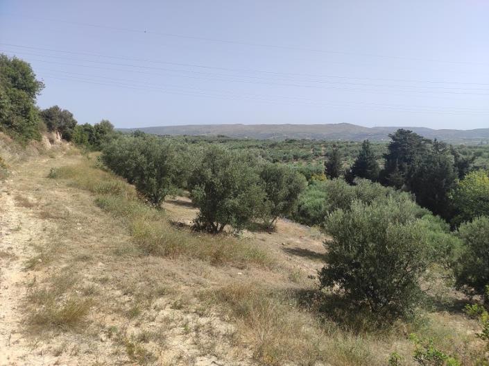 Image No.20-Plot for sale