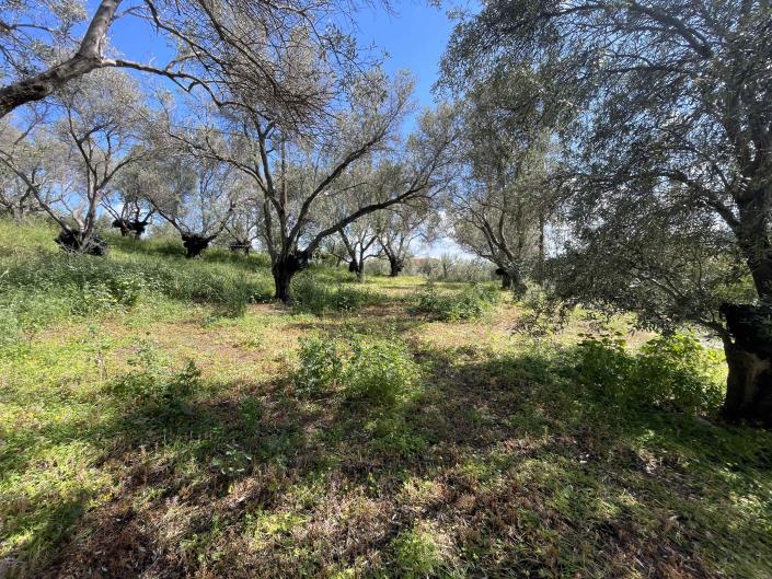Image No.2-Terrain à vendre à Rethymnon