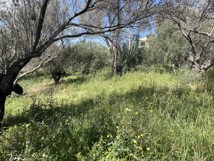 Image No.5-Terrain à vendre à Rethymnon