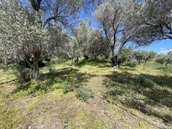 Image No.7-Terrain à vendre à Rethymnon