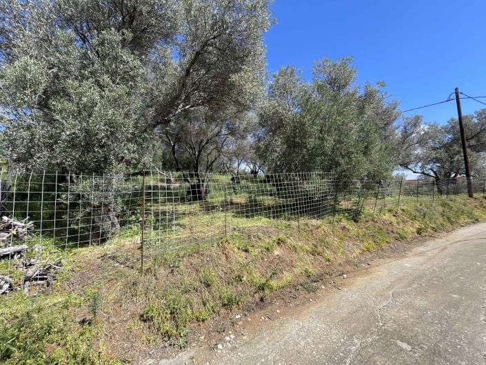 Image No.11-Terrain à vendre à Rethymnon