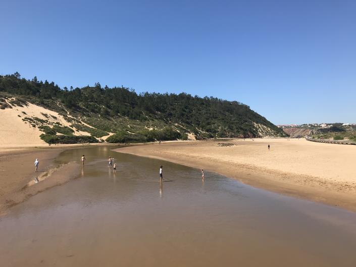 Image No.19-Villa de 2 chambres à vendre à Salir do Porto