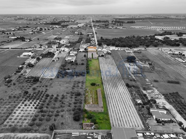 Image No.4-Ferme de 14 chambres à vendre à Palmela