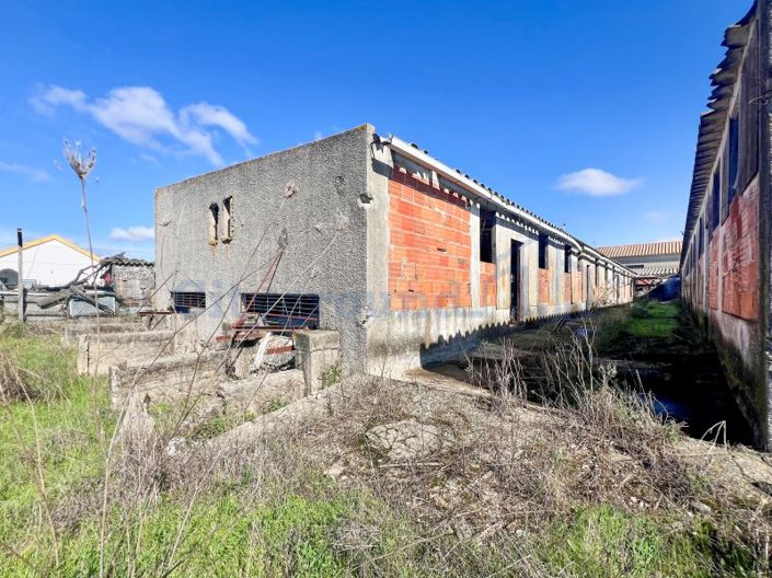 Image No.49-Ferme de 14 chambres à vendre à Palmela