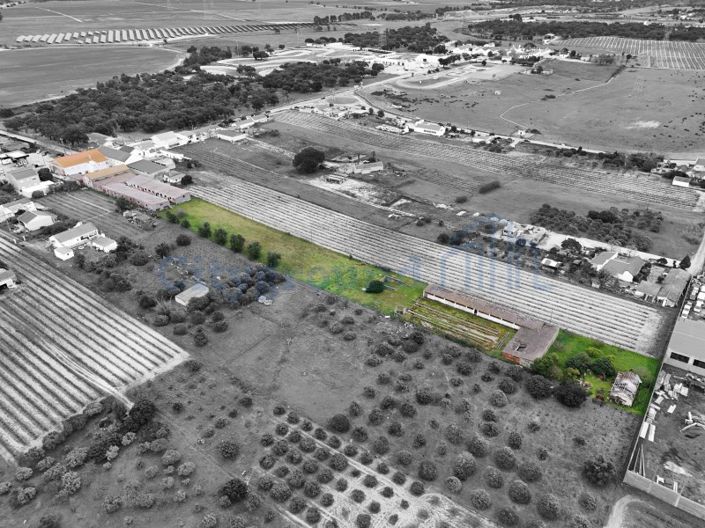 Image No.5-Ferme de 14 chambres à vendre à Palmela