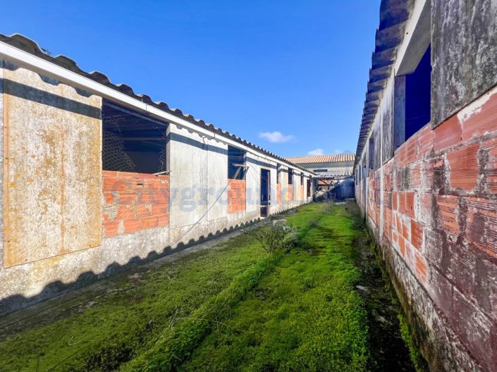 Image No.50-Ferme de 14 chambres à vendre à Palmela
